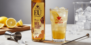 Leia mais sobre o artigo Um drink, três limões e bons momentos garantidos!