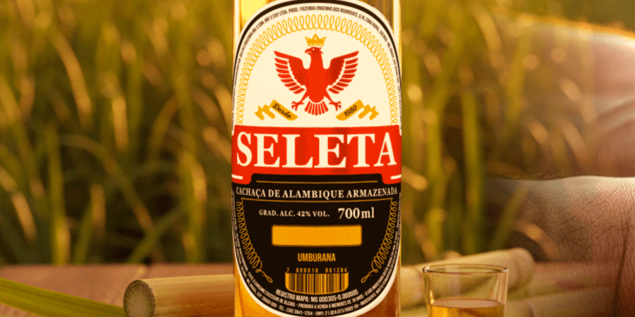 Você está visualizando atualmente Sustentabilidade em foco: como a Seleta transforma boas intenções em práticas reais