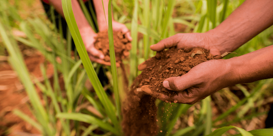 Leia mais sobre o artigo De Salinas para o mundo