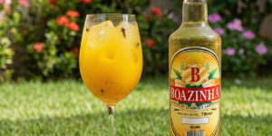 Leia mais sobre o artigo O drink de manga com cachaça que vai dominar o seu verão