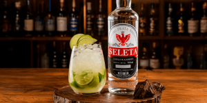 Leia mais sobre o artigo Como fazer Copão de Caipirinha com Seleta Prata