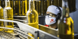 Leia mais sobre o artigo Você sabe por que a cachaça regularizada é a melhor escolha?